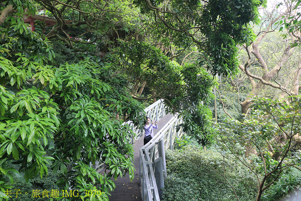 觀音觀鷹 樂活行腳 輕旅觀音山 鷹得精彩 感受觀音山自然之美