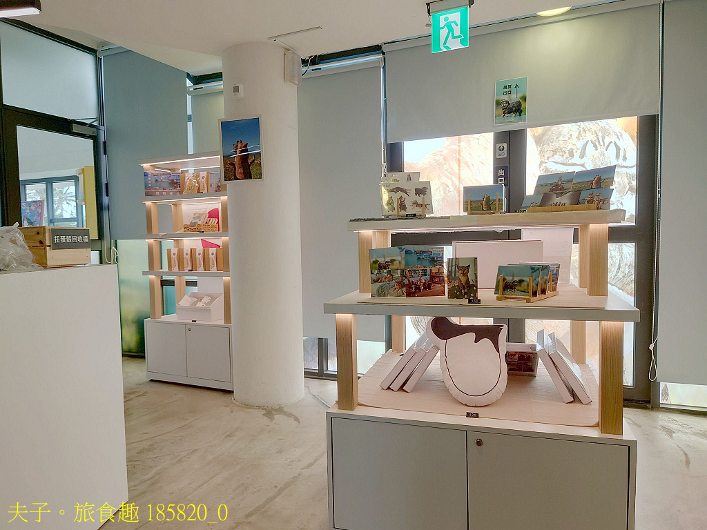 屏東看海美術館 貓 X 狗 極度日常 Ultra Daily