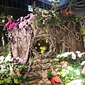 IMG_4602.jpg