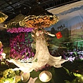 IMG_4568.jpg