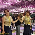 IMG_4645-1.jpg
