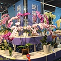 IMG_4688.jpg