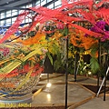 IMG_4805-1.jpg
