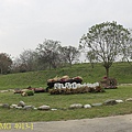 IMG_4913-1.jpg