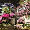IMG_4961.jpg