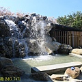 IMG_7471.jpg