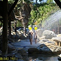 IMG_7507-1.jpg