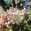 IMG_7540.jpg