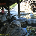 IMG_7642.jpg