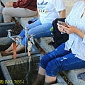 IMG_7633-1.jpg