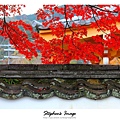 天龍寺2013_02.JPG