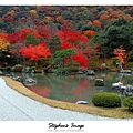 天龍寺2013_12.JPG