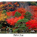天龍寺2013_15.JPG