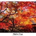 天龍寺2013_17.JPG