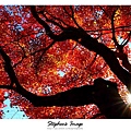 天龍寺2013_18.JPG