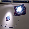 PICT0010.jpg