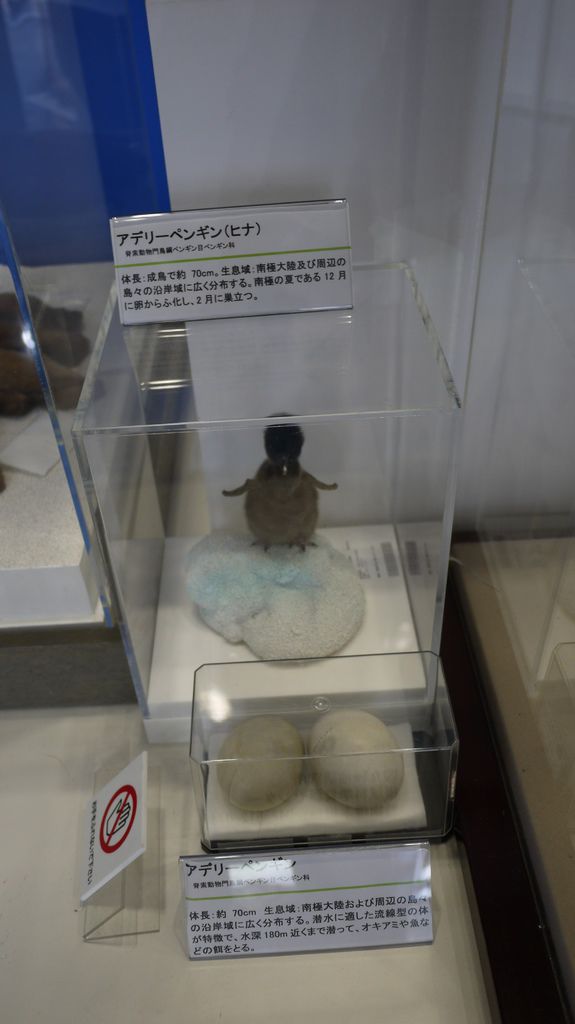 P1080192.JPG