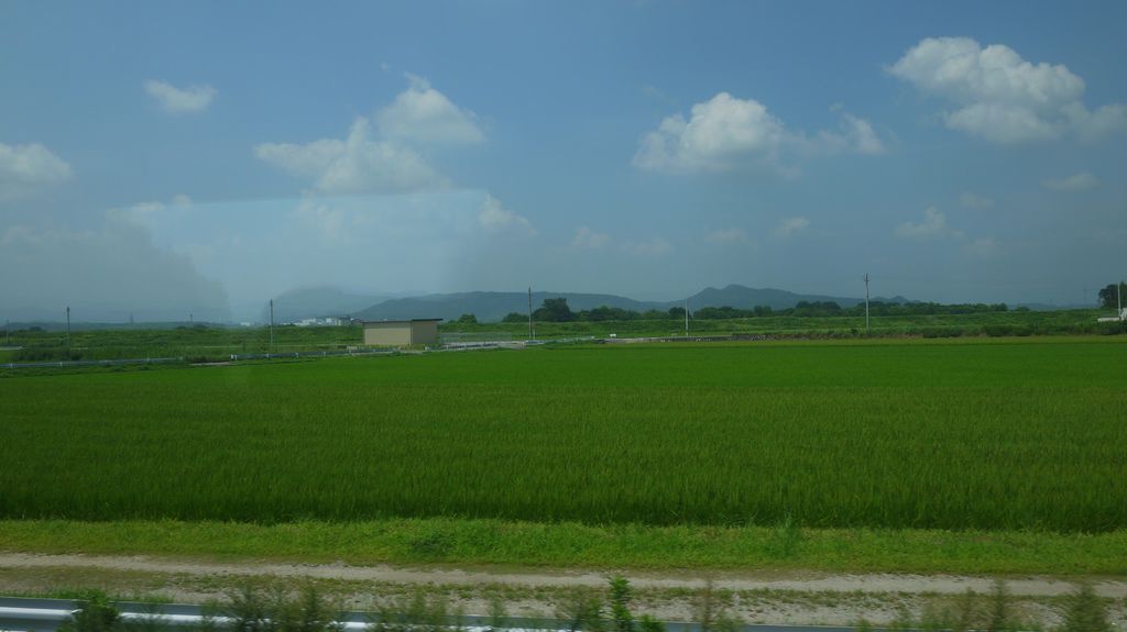 P1080228.JPG