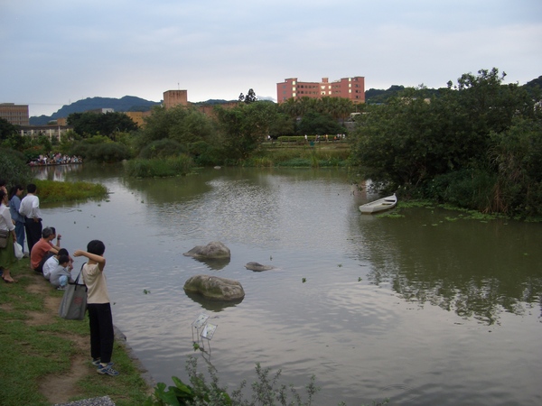 生態池