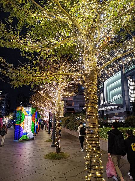 IMG20230201204123.jpg IMG20230201204123.jpg