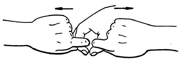 BDORT-fig2.bmp BDORT-fig2.bmp