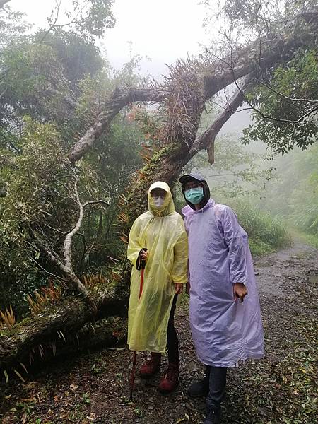 IMG_20201017_090508.jpg IMG_20201017_090508.jpg