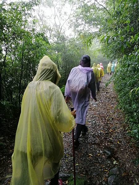 IMG_20201017_091127.jpg IMG_20201017_091127.jpg