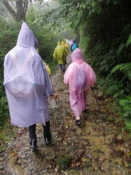 IMG_20201017_091608.jpg IMG_20201017_091608.jpg