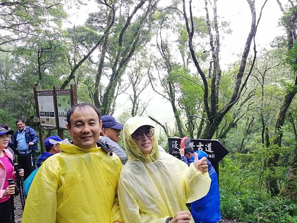 IMG_20201017_092943.jpg IMG_20201017_092943.jpg