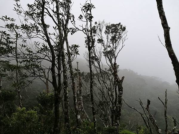 IMG_20201017_093136.jpg IMG_20201017_093136.jpg