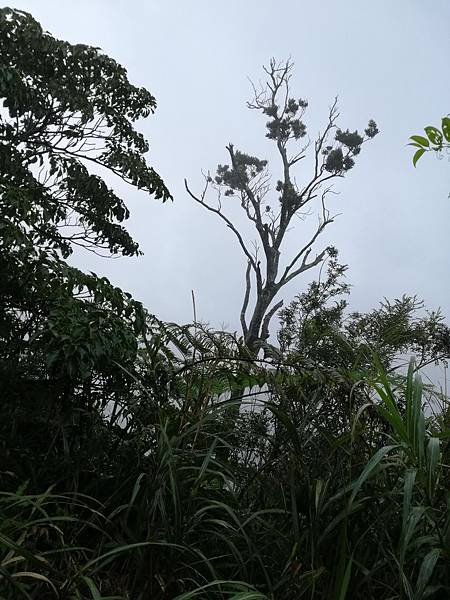 IMG_20201017_093525.jpg IMG_20201017_093525.jpg