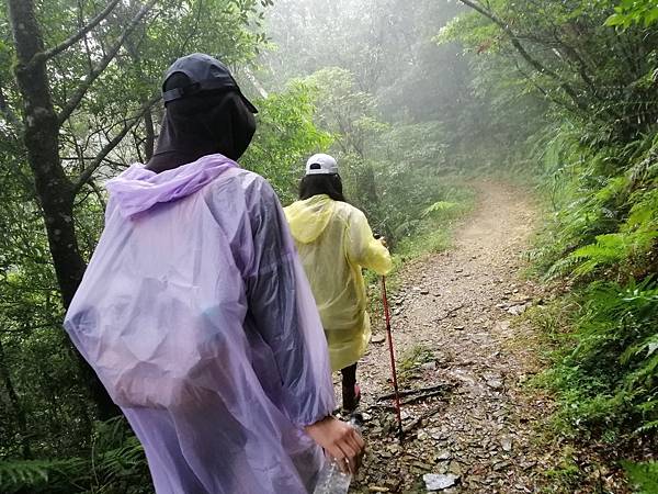 IMG_20201017_093928.jpg IMG_20201017_093928.jpg