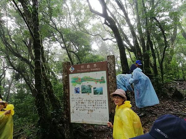 IMG_20201017_095212.jpg IMG_20201017_095212.jpg