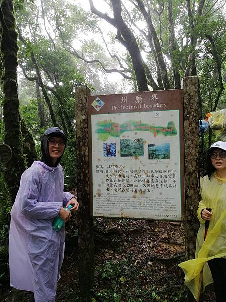 IMG_20201017_095305.jpg IMG_20201017_095305.jpg