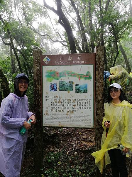 IMG_20201017_095306.jpg IMG_20201017_095306.jpg