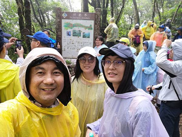 IMG_20201017_095339.jpg IMG_20201017_095339.jpg