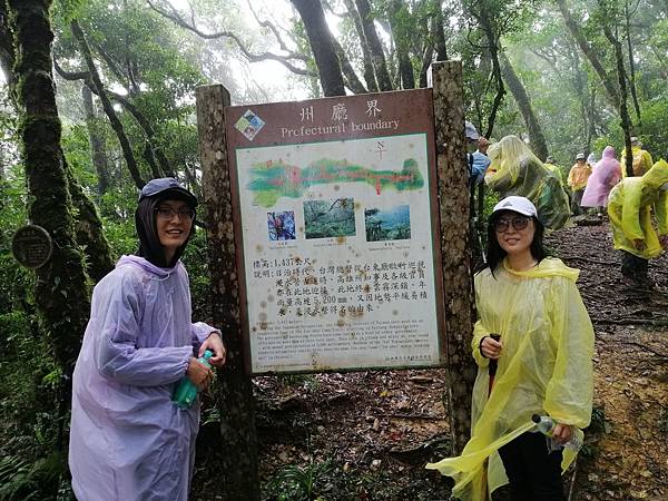 IMG_20201017_095308.jpg IMG_20201017_095308.jpg