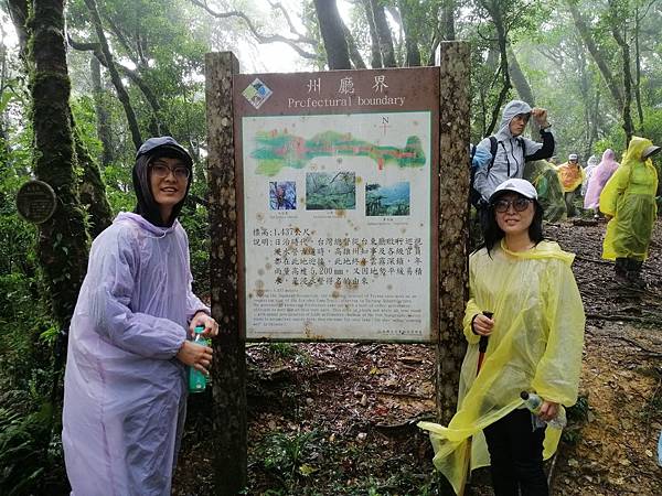 IMG_20201017_095309.jpg IMG_20201017_095309.jpg