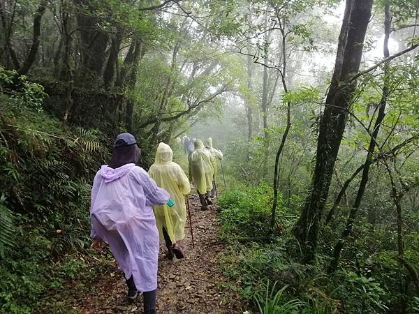 IMG_20201017_095814.jpg IMG_20201017_095814.jpg