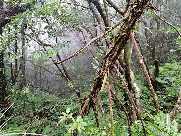 IMG_20201017_110657.jpg IMG_20201017_110657.jpg