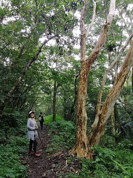 IMG_20201017_120740.jpg IMG_20201017_120740.jpg