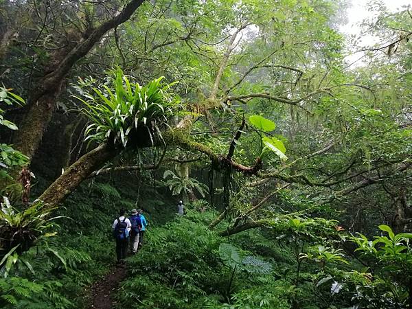 IMG_20201017_120408.jpg IMG_20201017_120408.jpg