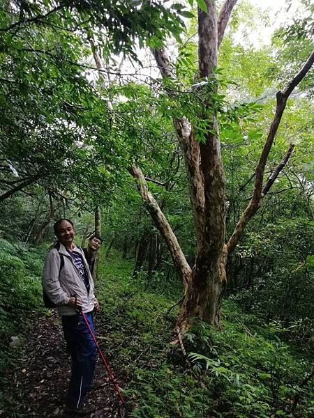 IMG_20201017_120826.jpg IMG_20201017_120826.jpg