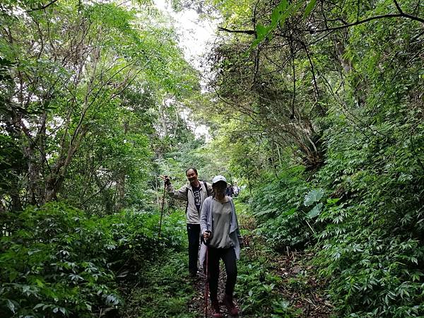 IMG_20201017_122141.jpg IMG_20201017_122141.jpg