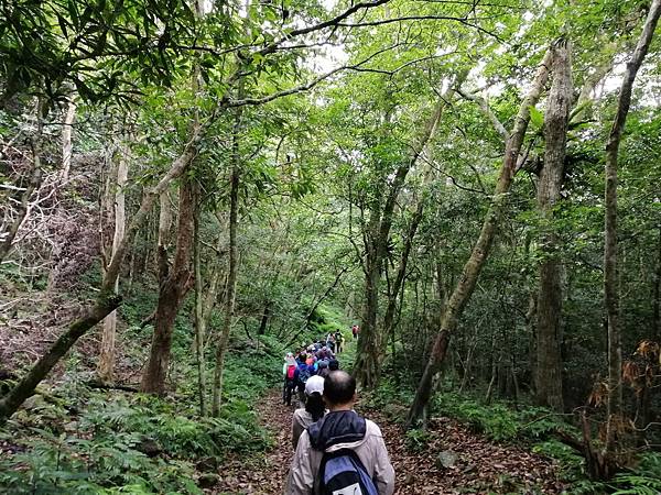 IMG_20201017_122643.jpg IMG_20201017_122643.jpg