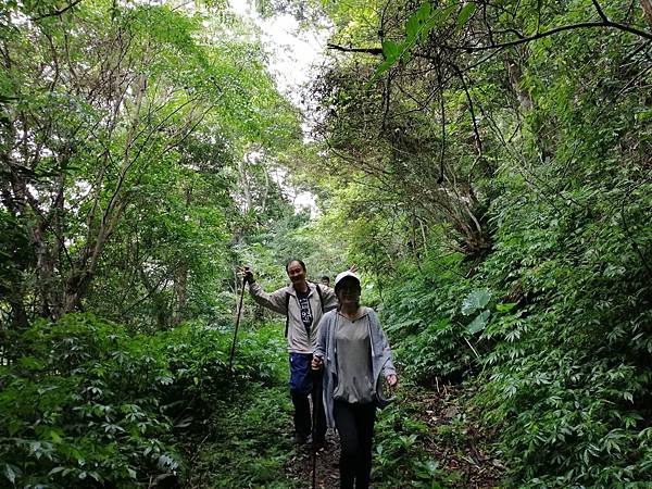 IMG_20201017_122142.jpg IMG_20201017_122142.jpg