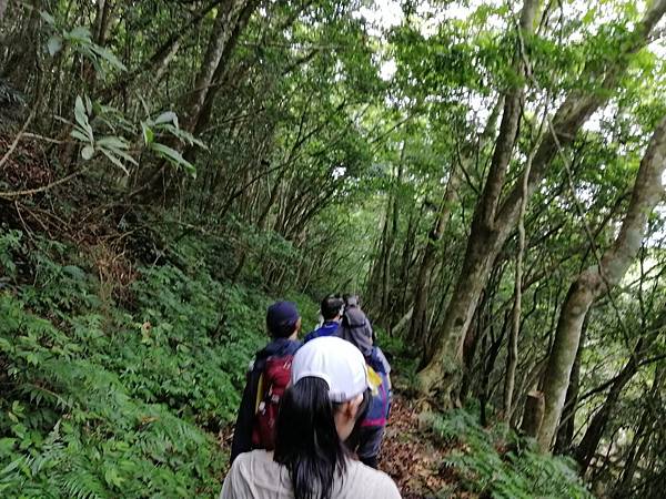 IMG_20201017_122825.jpg IMG_20201017_122825.jpg