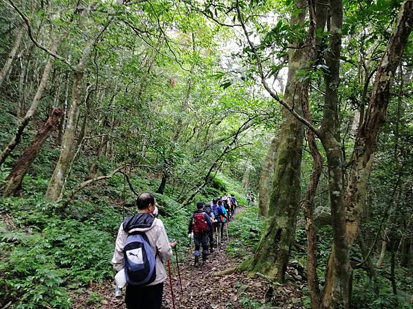 IMG_20201017_122656.jpg IMG_20201017_122656.jpg