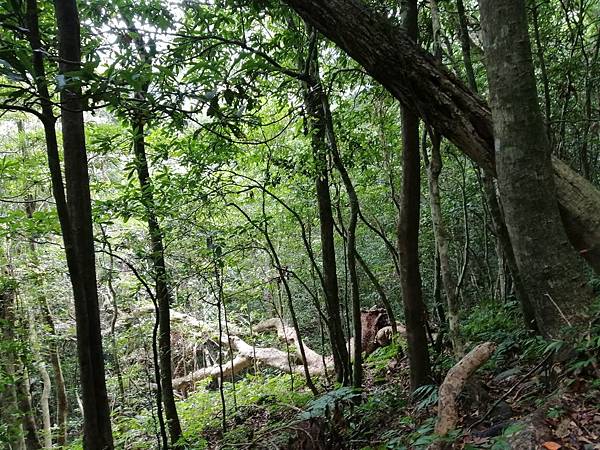 IMG_20201017_122907.jpg IMG_20201017_122907.jpg