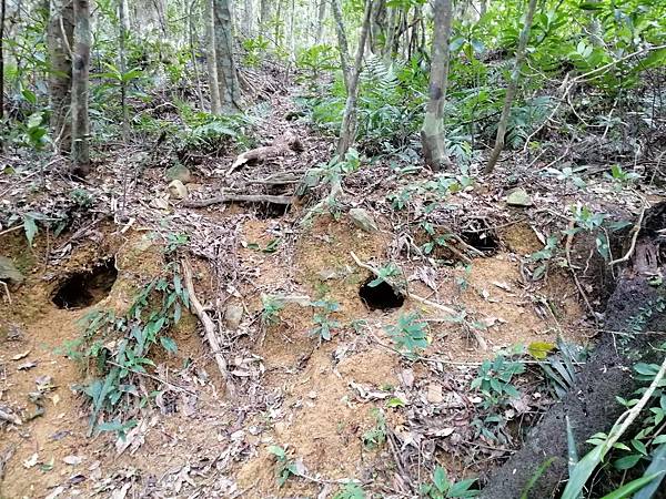 IMG_20201017_130054.jpg IMG_20201017_130054.jpg